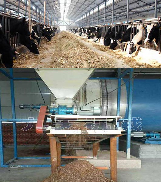 秸稈烘干機客戶如何飼喂秸稈飼料圖