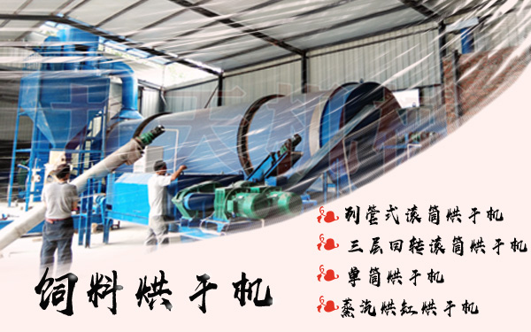 飼料烘干機滾筒結(jié)構(gòu)圖